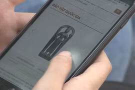 Online exhibitions bring museums closer to the public