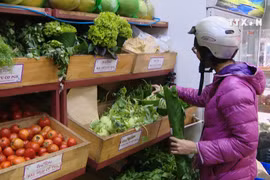 'Say no to plastic bags' gains popularity 