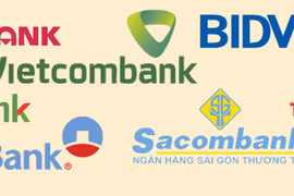 Nine Vietnam banks named in Brand Finance Banking 500