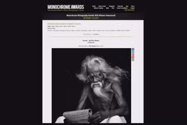 Vietnamese photographers win Int’l Photo Award