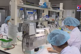 Vietnam’s second COVID-19 vaccine to be trialled