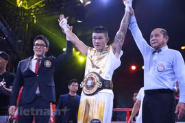 Vietnam's boxing sport reaches new height
