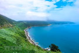 Son Tra peninsula – A must-see in central Da Nang city