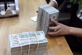 Vietnamese dong remains stable despite Fed’s 11th rate hike: experts