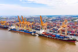 Vietnam looks to develop, maximise modern seaports