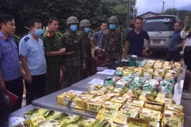 The customs sector uncovered, seized and handled 14,100 customs law violations involving goods worth about 4.2 trillion VND (183.5 million USD) in the first 11 months of this year (Photo: VietnamPlus)
