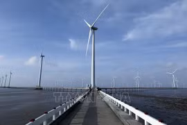 National Power Development Plan VIII – breakthrough in energy sector
