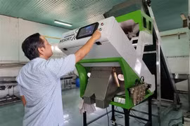 Ninh Thuan profits from sci-tech application to agriculture