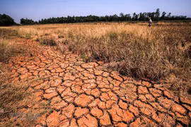 Earth Day 2020 calls for actions to combat climate change