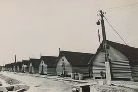 Camp Davis – political struggle amidst ‘den’ of enemy