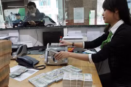 Vietnamese currency to appreciate despite forex fluctuations