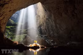 Cultural value popularisation helps raise Vietnam’s status in int’l arena