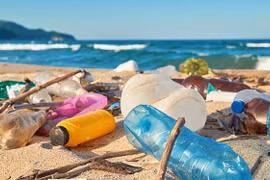 Vietnam ready to join talks on global treaty on marine plastic waste