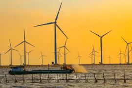 Friendlier legal framework needed for offshore wind power development