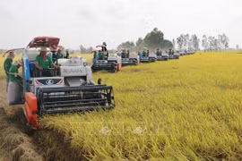 Green production - direction for sustainable rural development