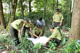 📝 OP-ED: People, authorities join hands to fight wildlife trafficking
