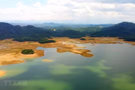 Vietnam strives to protect wetlands – “cradle” of biodiversity