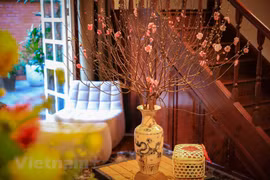 Peach blossoms - a symbol of Lunar New Year
