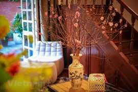 Peach blossoms - a symbol of Lunar New Year