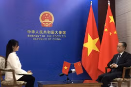 Vietnamese economy greatly open, full of vitality: Chinese ambassador