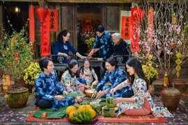 Tet impressive in foreign ambassadors’ eyes