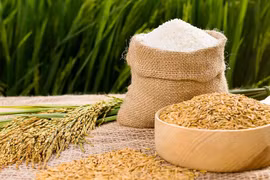 Rosy outlook for rice export in 2023