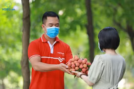 "Digital journey" of lychees: From orchards to dinning-tables