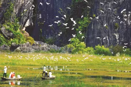 Ca Mau offers respite for the weary soul