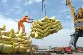 Vietnam exports 4.68 million tonnes of rice in the first six months of this year, earning 2.98 billion USD (Photo: sggp.org.vn)