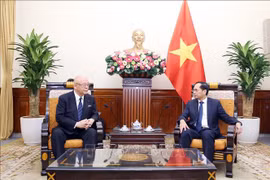 Minister of Foreign Affairs Bui Thanh Son (right) receives Special Advisor to the Japan - Vietnam Friendship Parliamentary Alliance Takebe Tsutomu in Hanoi on July 22. (Photo: VNA)