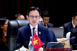 Deputy Foreign Minister Do Hung Viet, head of SOM delegation of Vietnam (Photo: VNA)