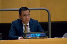 Ambassador Dang Hoang Giang, Permanent Representative of Vietnam to the UN (Photo: VNA)