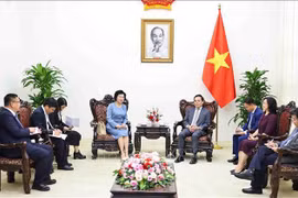 Deputy Prime Minister Tran Luu Quang (right, centre)) receives Chairwoman of Sailun Group and the Sailun Vietnam Ltd Company Liu Yanhua in Hanoi on July 29. (Photo: VNA)