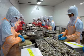Shrimp exports enjoy robust growth during 2020