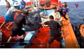Quang Ngai fishermen protecting national sovereignty
