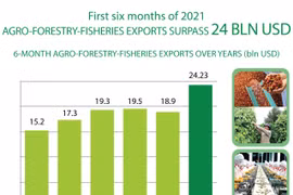 Agro-forestry-fisheries exports surpass 24 billion USD in H1