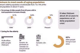 Vietnam to meet needs of aging population