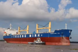 Solutions needed for domestic shipping fleet to win market