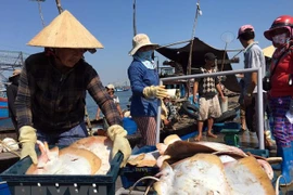 Fisheries sector reaches out to ocean to develop marine economy