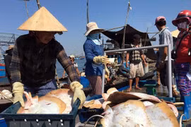 Fisheries sector reaches out to ocean to develop marine economy
