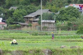 Son La striving to help returnees from pandemic-hit areas