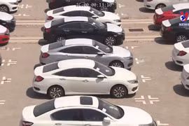 Auto market grows slightly last year