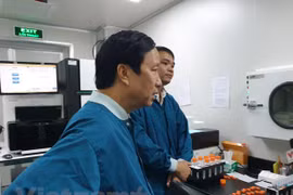 Prof. Nguyen Thanh Liem: Vietnamese scientists can teach abroad