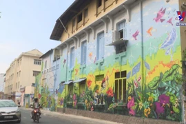 Murals give new look to HCM City’s old apartment buildings