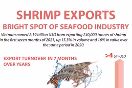 Shrimp exports - bright spot of seafood industry
