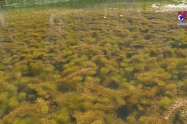 Ninh Binh keen on sustainable biodiversity preservation