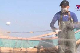 Quang Binh fishermen net bumper catches