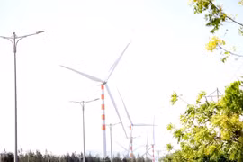 Majestic wind farms in Binh Dinh