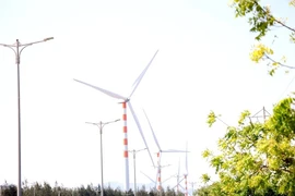 Majestic wind farms in Binh Dinh