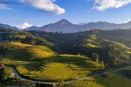 Ideal destinations to enjoy autumn in Northern Vietnam